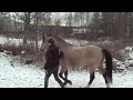 Caspian ut till hagen Caspian ut till hagen