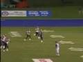 Blue Bombers - Dinwiddie