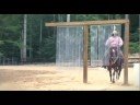 Horse Playground Introduction Horse Playground Introduction
