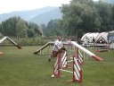 arnac boxer agility whir au val