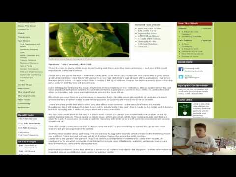 how to look after a lemon tree in nz