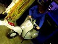 roller vespa malossi 136er 136