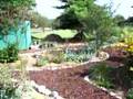 Tour of Xeriscape Garden in Springfield, Mo.