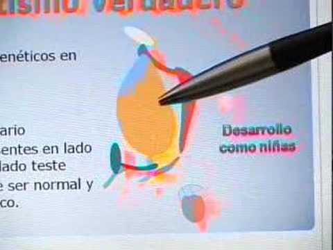 hermafrodita