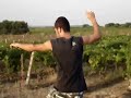 Khud Manual Skateboard,Francesco Abbamonte extreme record Khud Manual Skateboard,Francesco Abbamonte extreme record