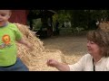 P&B: Pumpkin Patch 2008