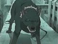 Wolves\