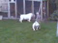 Dushi en....het touw!