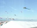 berck plage cerfs volants