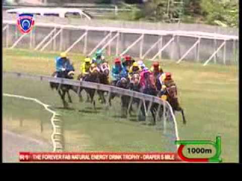 horse racing