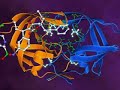 hiv-resistance.html
