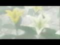 The Mourning Tree SephirothxAerith
