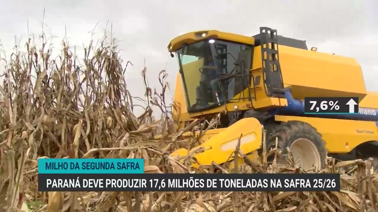 Colheita do milho safrinha começa no Paraná com expectativa de 17,6 milhões de toneladas