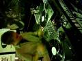 videos de DJ Switch @ BPM - Part 1