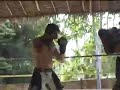 Training on Muay Thai pads w/ Tiger Muay Thai Trainer
