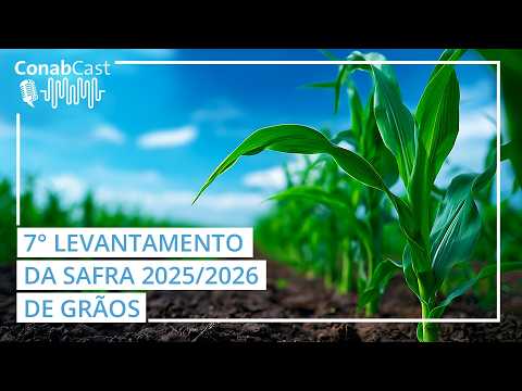 Produção de grãos deve atingir 356,3 milhões de toneladas na safra 2025/26