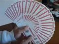 Bicycle deck review