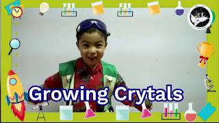 Kids Science Experiment: Growing Crystals with Milton!!!