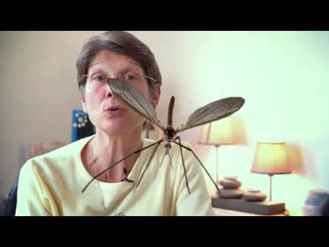 Video Youtube - ABADIE ETE