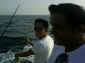 MOV00810.3GP MOV00810.3GP