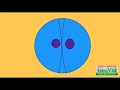 Invetro fertilization
