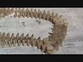 Seahawks Dominoes