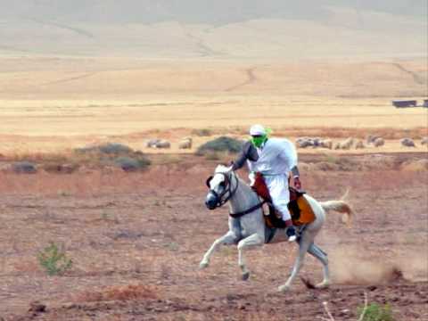 Rahaba Chaoui