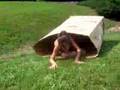Cardboard Box