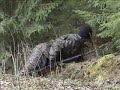 A.S.T Mets�j��k�rit (finnish airsoft) - kokoelma