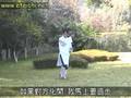 Wudang Natural beating