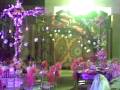 videos de mqOccasions3-weddings and events planner (Flower Markets co..)MohammedQadourah-doha-Qatar