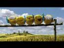 Funny Tennis Commercial