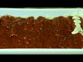 Receta de Cocina - Canelones de bonito