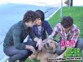 Jonas Brothers and Elvis the dog!