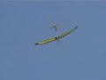 Guppy sailplane Guppy sailplane