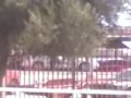 MOMENTOS DEL LEVANTON EN LA Y GRIEGA...