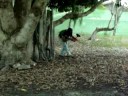 Arena Paintball Eun�polis