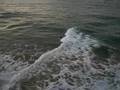 Day 12: Boogie boarders