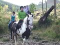Horse Riding Argyll Adventure Inveraray Scotland Horse Riding Argyll Adventure Inveraray Scotland