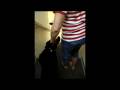 Dog Stifle Brace