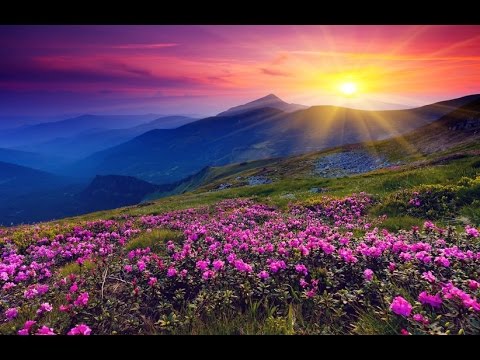 8 Hour Relaxing Sleep Music: Delta Waves, Sleeping Music, Sleep Hypnosis, Soothing Music ☯668
