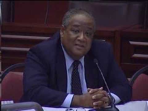 Jamaican Diaspora Elections 2007 ...