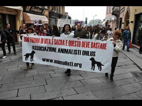 essereumano, inno Animalisti Onlus di Valentina Rubini - Official Video