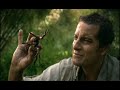 Boom De Ah Dah, Discovery Channel