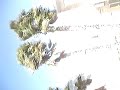 MOV00540