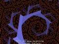 Fractals Intro in Xaos