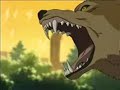 Wolf\