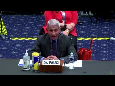 U.S. coronavirus task force members: Trump hasn't asked us to slow testing