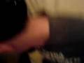 videos de Ass Faced Whale
