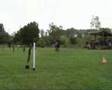 Szeni